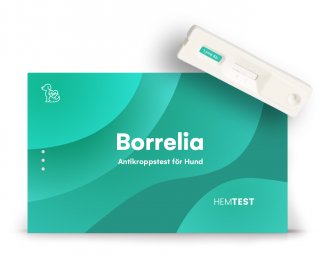Borrelia antistofftest for hund